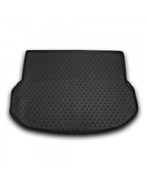 Kadica za gepek LEXUS NX (AZ10), 2014-2020